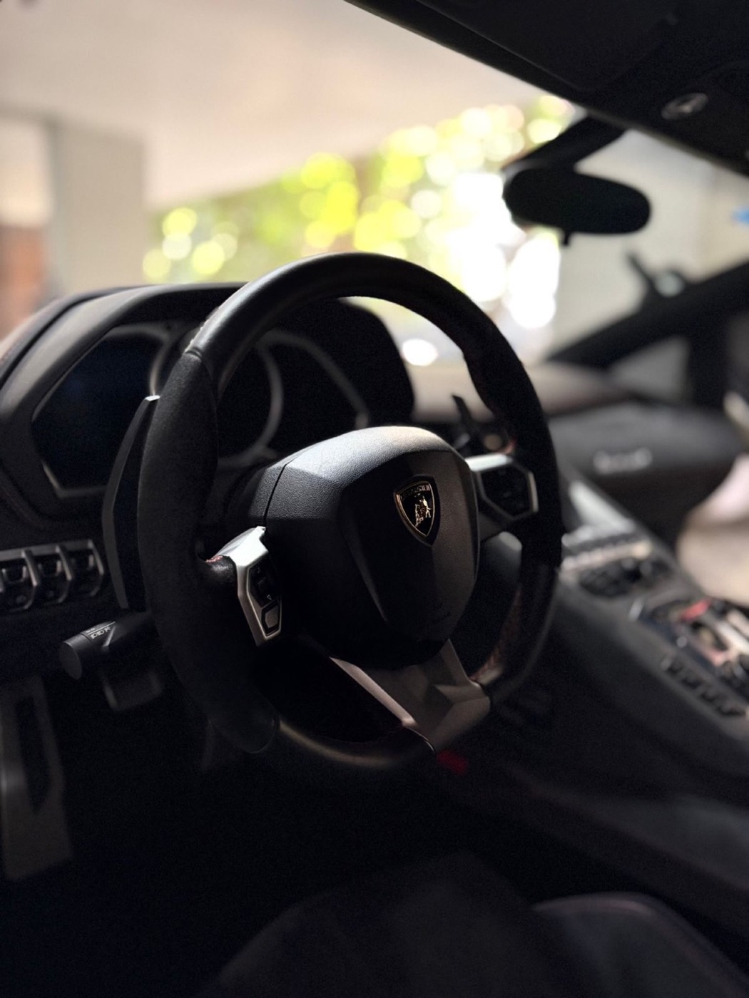 Lamborghini Aventador Pirelli Edition 2016 - 6