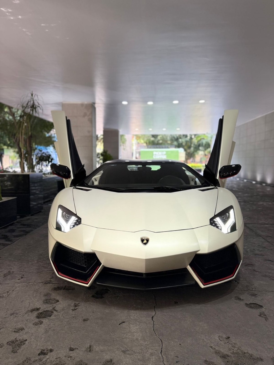 Lamborghini Aventador Pirelli Edition 2016 - 12