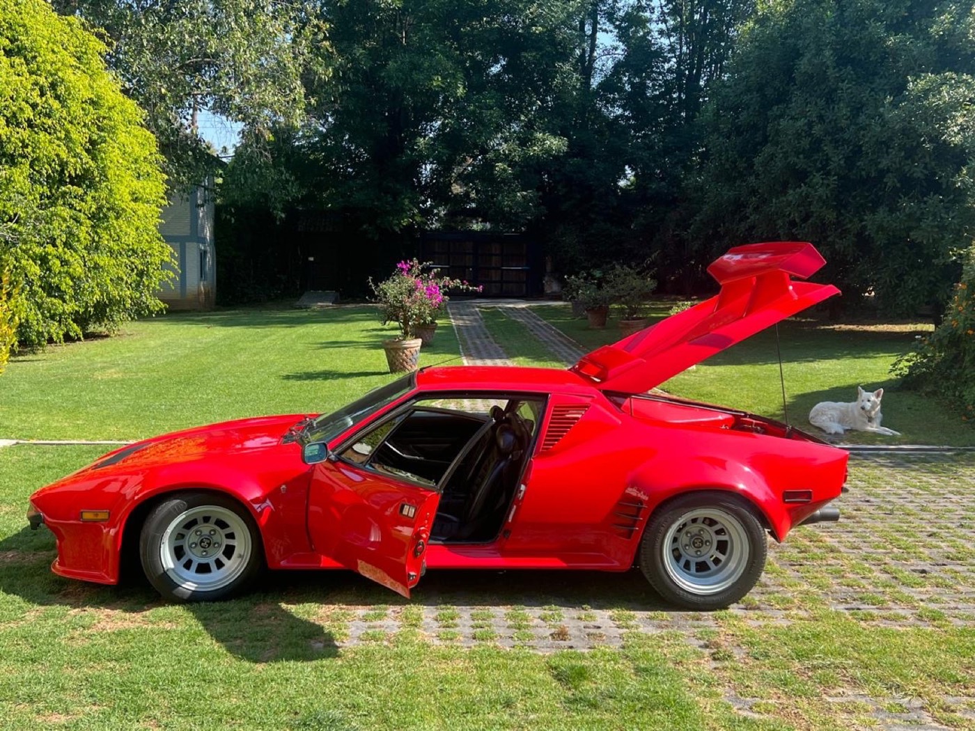 DeTomaso Pantera GTS/GT5 (1/4 en México) 1971 - 4