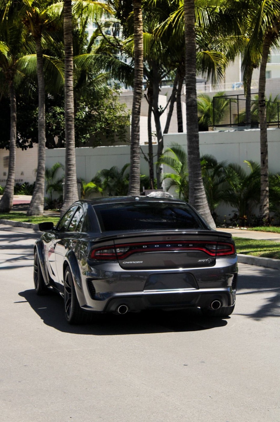 Dodge Charger SRT Hellcat Widebody 2023 - 4