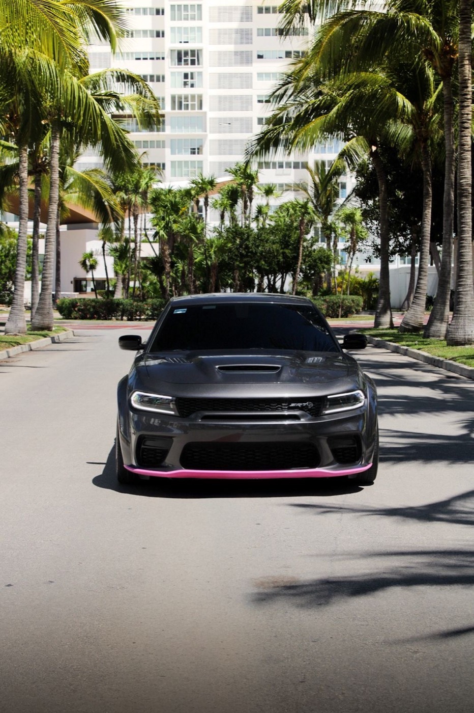 Dodge Charger SRT Hellcat Widebody 2023 - 8